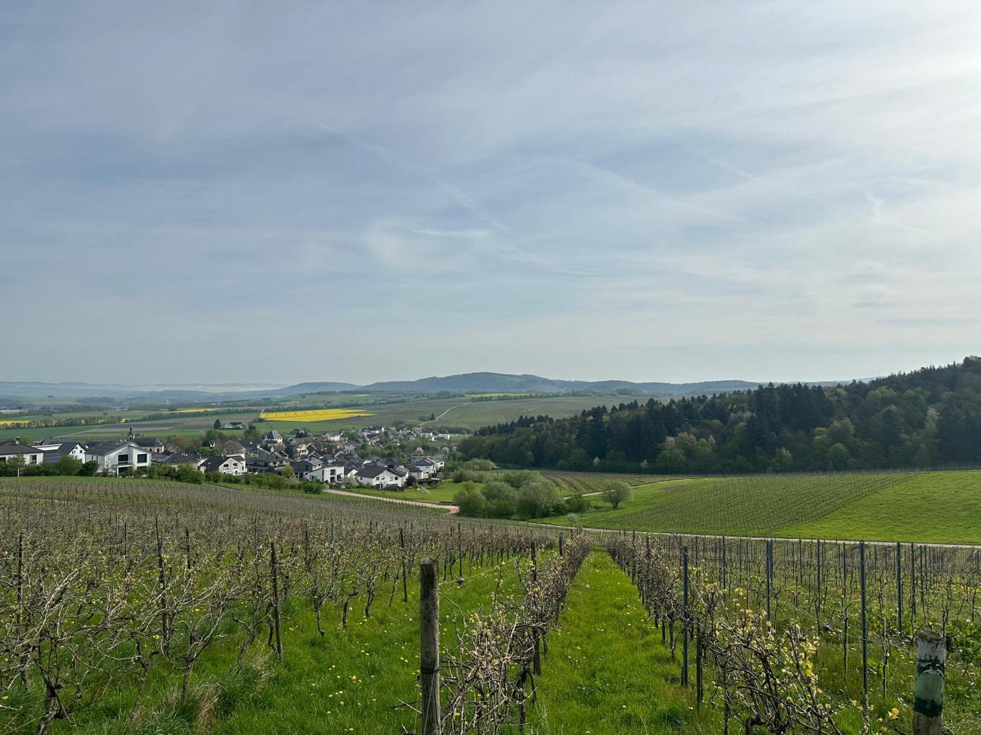 Ferienwohnung Moselherz - Urlaub Im Wein- Und Ferienort Bekond Екстер'єр фото