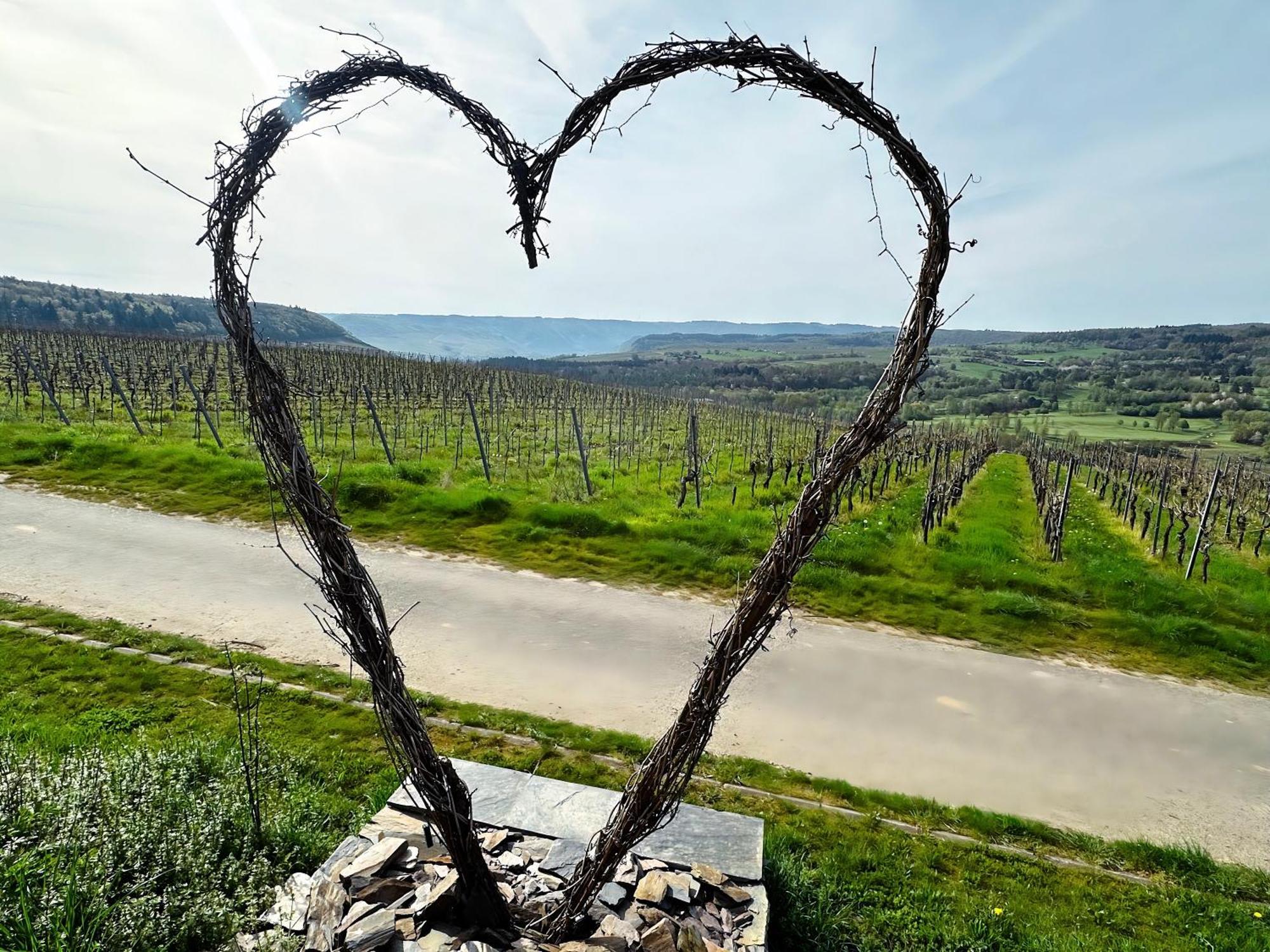 Ferienwohnung Moselherz - Urlaub Im Wein- Und Ferienort Bekond Екстер'єр фото